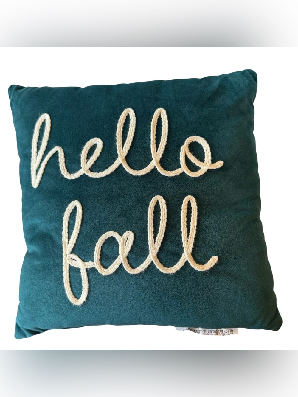 Hello Fall Teal Velvet Embroidered Decorative Pillow